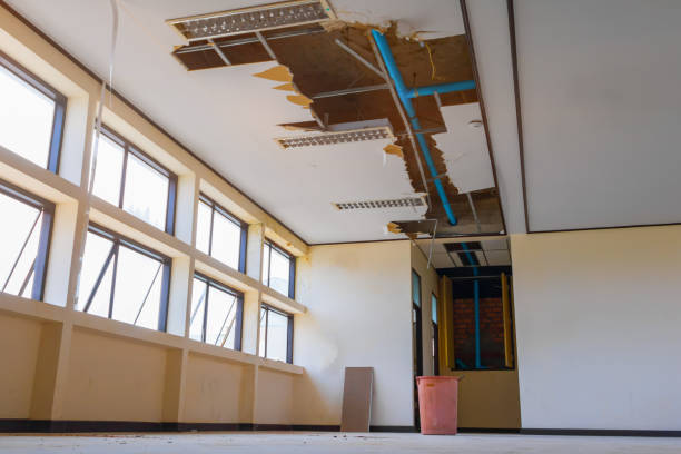 Best 24/7 water damage repair  in Atco, NJ
