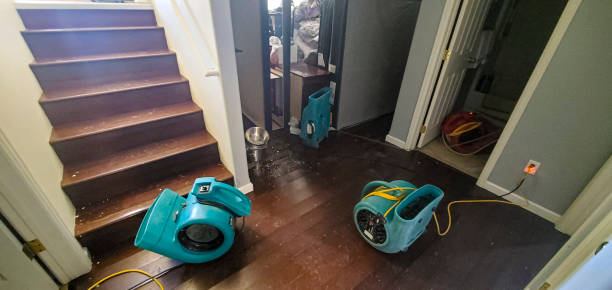 Best Water damage cleanup near me  in Atco, NJ