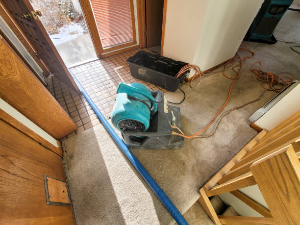 Best Flood restoration services  in Atco, NJ