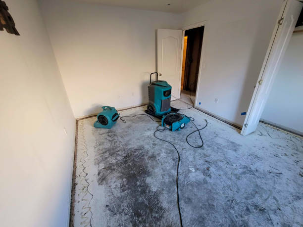 Best Flood damage cleanup  in Atco, NJ
