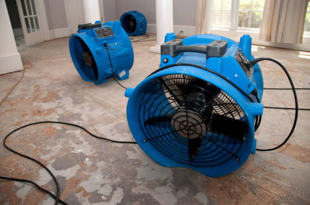 Best Carpet water damage restoration  in Atco, NJ