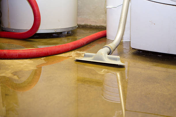 Best Commercial water damage restoration  in Atco, NJ